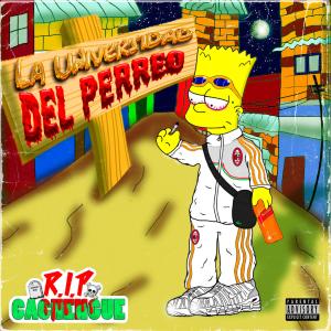 收聽ÑERO的Perreo Animal Print (feat. Alex Produciendo)歌詞歌曲