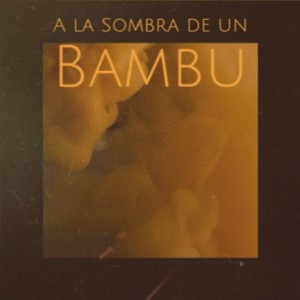 收听Orquesta America的Alarde Nada Mas歌词歌曲