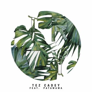 收聽Tez Cadey的Ivory歌詞歌曲