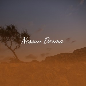 Listen to Nessun Dorma song with lyrics from Mantovani Orchestra