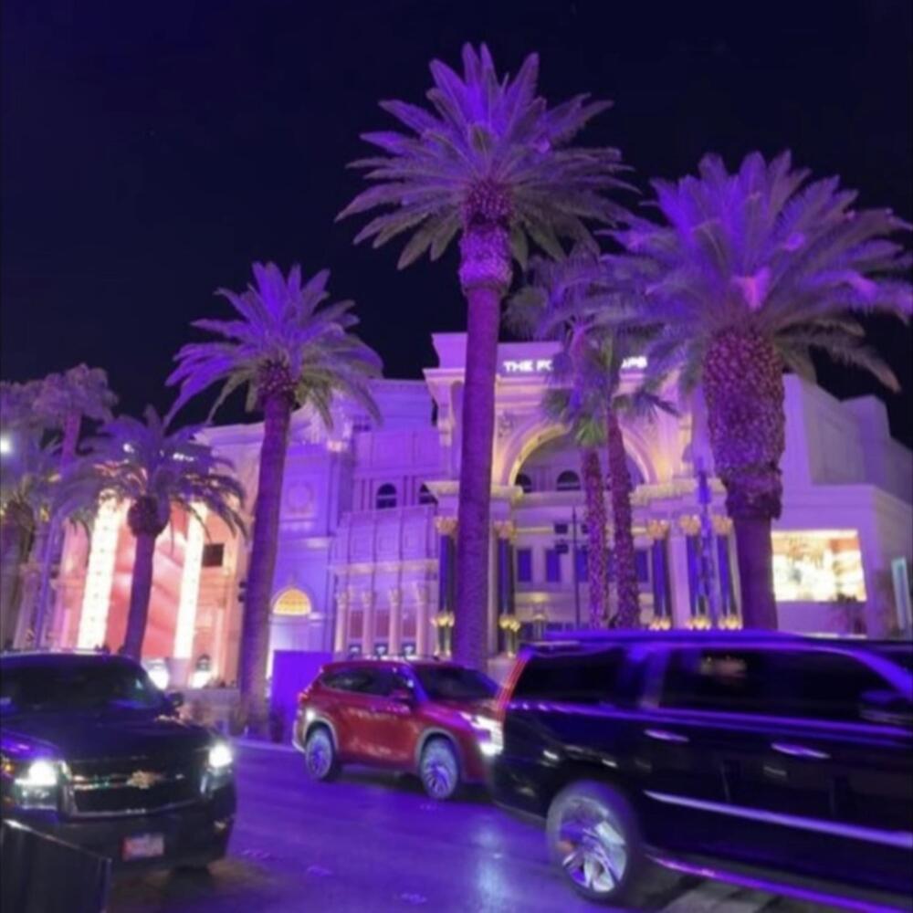 purple palm treez (Explicit)
