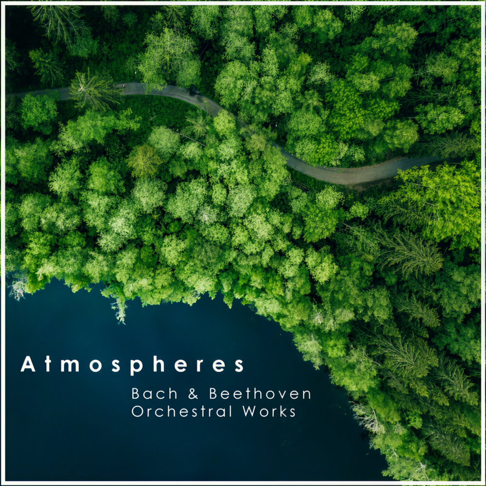 Beethoven: 20 Irish Songs, WoO 153: No. 11, When Far From the Home