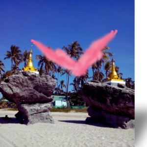 Album meirin (feat. Meirin) from つぎはぎ