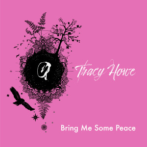 ดาวน์โหลดและฟังเพลง Hard to Watch Me Die พร้อมเนื้อเพลงจาก Tracy Howe