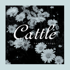 ดาวน์โหลดและฟังเพลง Somehow Hear พร้อมเนื้อเพลงจาก cattle