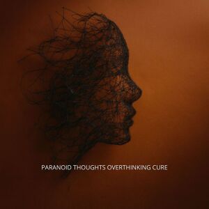 Album Paranoid Thoughts Overthinking Cure from 