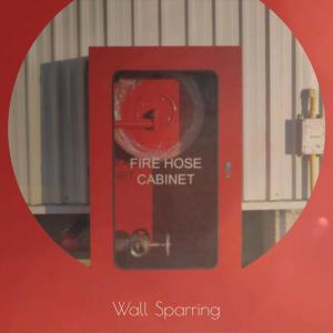 ดาวน์โหลดและฟังเพลง Wall Sparring พร้อมเนื้อเพลงจาก Ravee Carpe