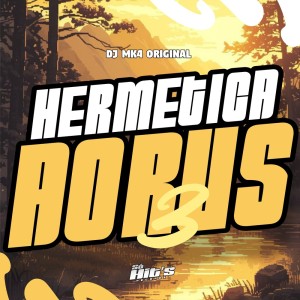收聽DJ MK4 ORIGINAL的Hermetica Aorus 3 (Explicit)歌詞歌曲