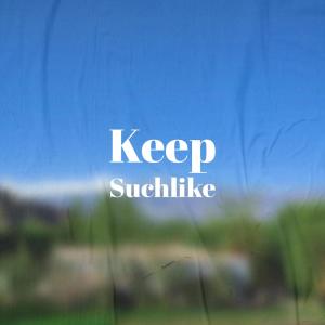 Various的专辑Keep Suchlike