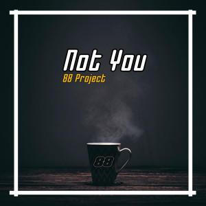 Listen to Not You (Slow Remix) song with lyrics from 88 Project