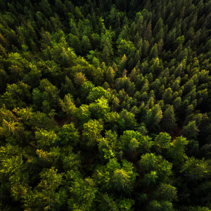 ดาวน์โหลดและฟังเพลง Time Travelers พร้อมเนื้อเพลงจาก Yoga Flow