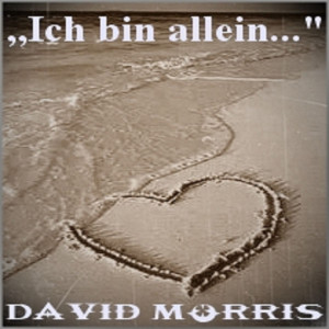 Album Ich bin allein oleh David Morris