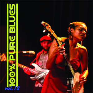 อัลบัม 100% Pure Blues, Vol. 12 ศิลปิน Various