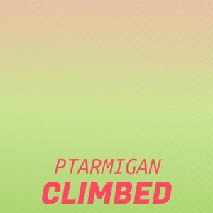 Various Artists的專輯Ptarmigan Climbed