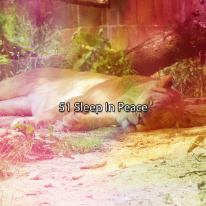 Album 51 Sleep In Peace oleh Rest & Relax Nature Sounds Artists