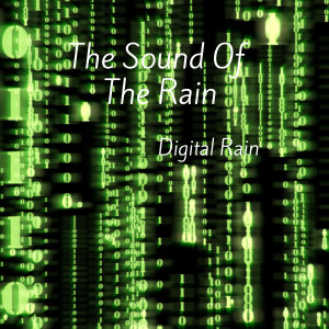Album Digital Rain from 