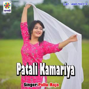 Listen to Patali Kamariya song with lyrics from Pallu Raja