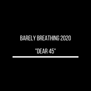 Album Barely Breathing 2020 "Dear 45" from Duncan Sheik