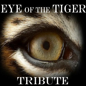 ดาวน์โหลดและฟังเพลง EYE Of The TIGER   [Survivor Salute] พร้อมเนื้อเพลงจาก U.S.A. Classics