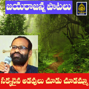 收聽Jayaraju的Chakkanaina Adavulu Chudu Chudamma歌詞歌曲