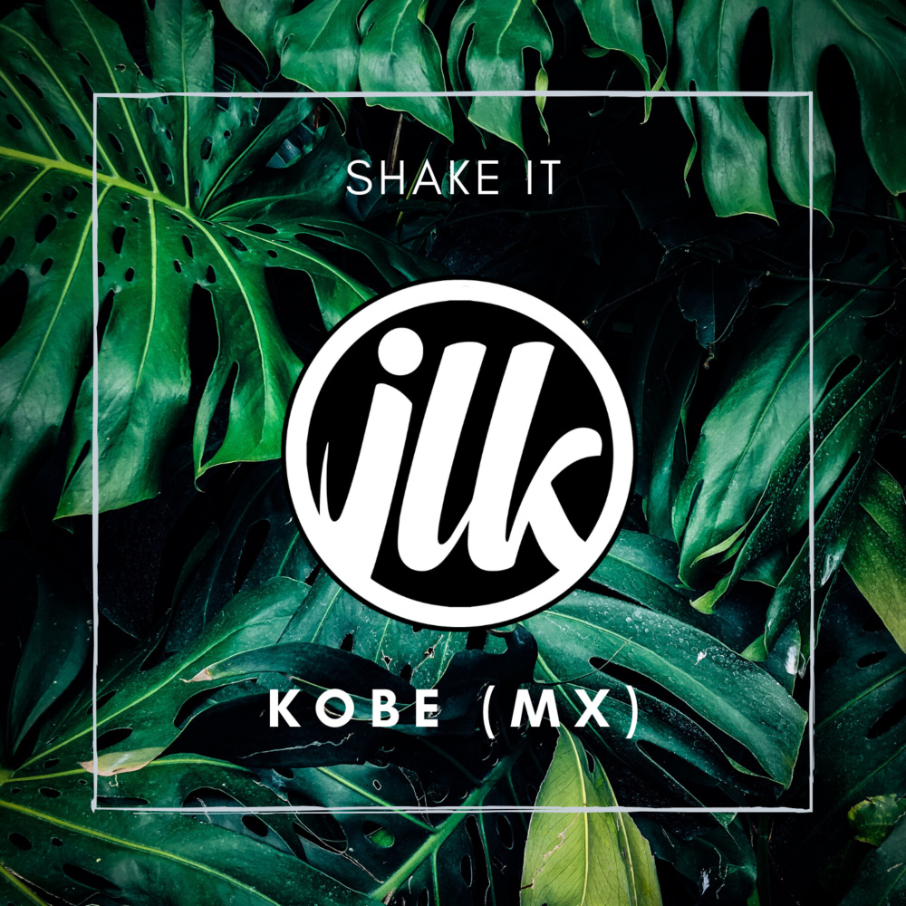 Shake It