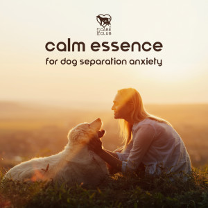 Album Calm Essence for Dog Separation Anxiety from Pet Care Club