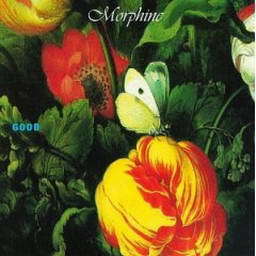 收聽Morphine的The Saddest Song歌詞歌曲