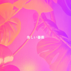 Album 美しい蔷薇 from Soft Jazz Relaxation