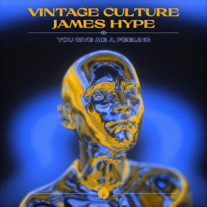 Album You Give Me A Feeling from Vintage Culture