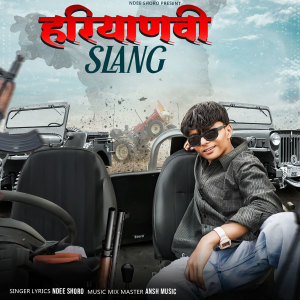 Album HARYANVI SLANG from Ndeeshoro