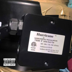 Listen to Hurricane (feat. LEX) (Explicit) song with lyrics from Andylit