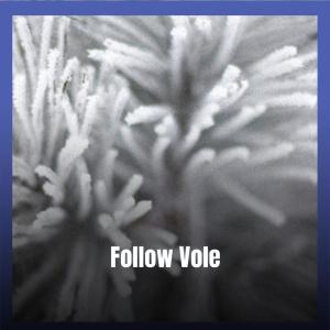 Various Artists的專輯Follow Vole