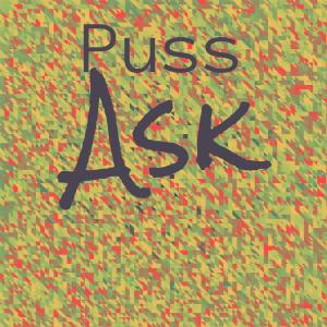 Various Artists的專輯Puss Ask