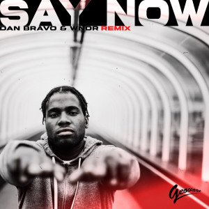 Say Now (Dan Bravo & Wndr Remix)