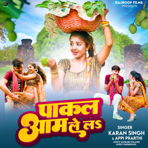 Listen to Pakal Aam Le La song with lyrics from Karan Singh