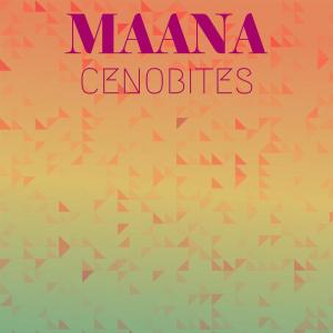 Album Maana Cenobites from Various