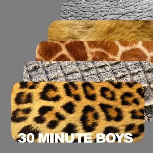 อัลบัม 30 Minute Boys ศิลปิน 30 Minute Boys