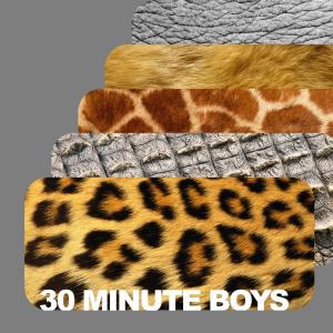 ดาวน์โหลดและฟังเพลง Mix พร้อมเนื้อเพลงจาก 30 Minute Boys