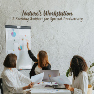 Work Music的专辑Nature's Workstation: A Soothing Ambient for Optimal Productivity