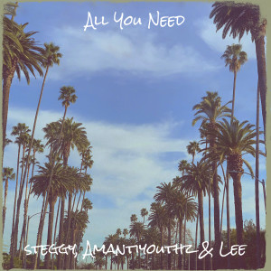 Album All You Need from Steggy