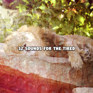 Deep Sleep Music Academy的專輯32 Sounds For The Tired