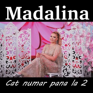Album Cat numar pana la 2 from 