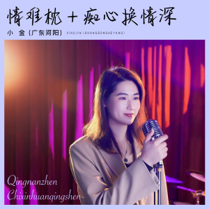 อัลบัม 情难枕+痴心换情深 ศิลปิน 广东河阳