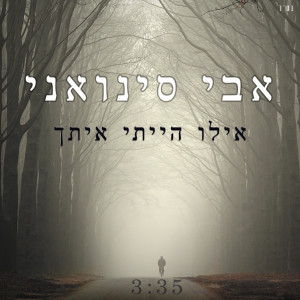 收聽אבי סינואני的אילו הייתי איתך歌詞歌曲