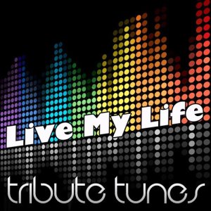 收聽Perfect Pitch的Live My Life (Tribute To Far East Movement feat. Justin Bieber)歌詞歌曲