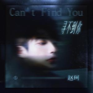 Listen to 寻不到你 song with lyrics from 赵珂
