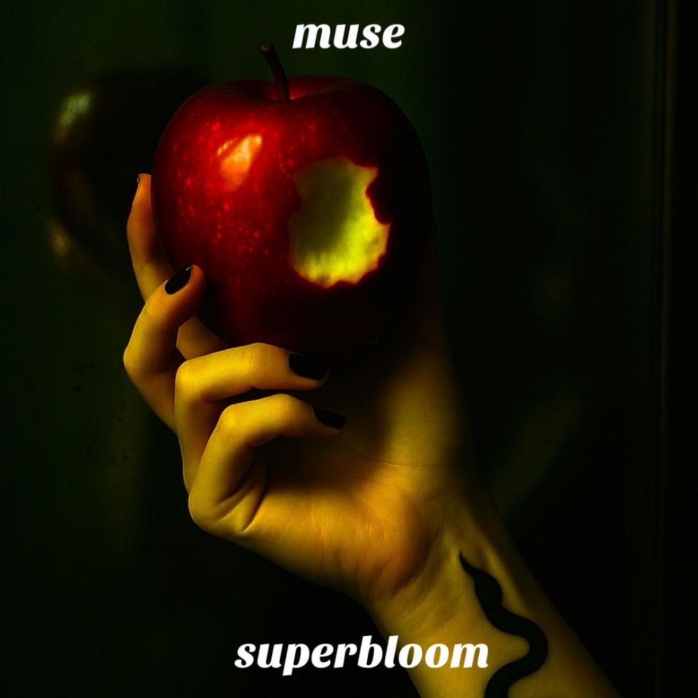 muse (Explicit)