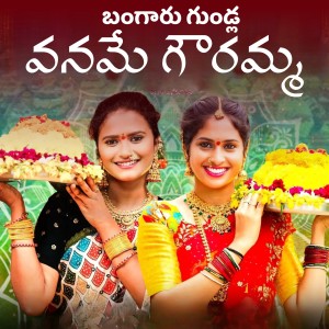 Album THEEROKKA RANGULA BATHUKAMMA from 