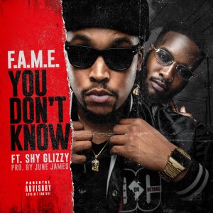 ดาวน์โหลดและฟังเพลง You Don't Know (Explicit) พร้อมเนื้อเพลงจาก F.A.M.E.