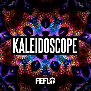 ดาวน์โหลดและฟังเพลง Gotta Keep Raving พร้อมเนื้อเพลงจาก FEFLO